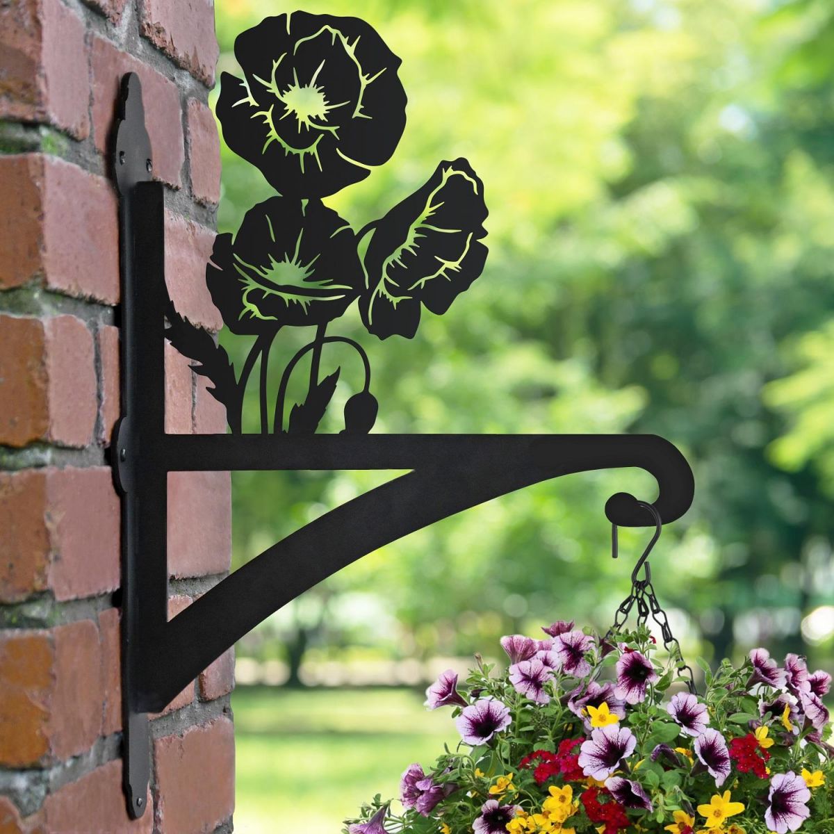 Cluster of Poppies Bracket in Garden 