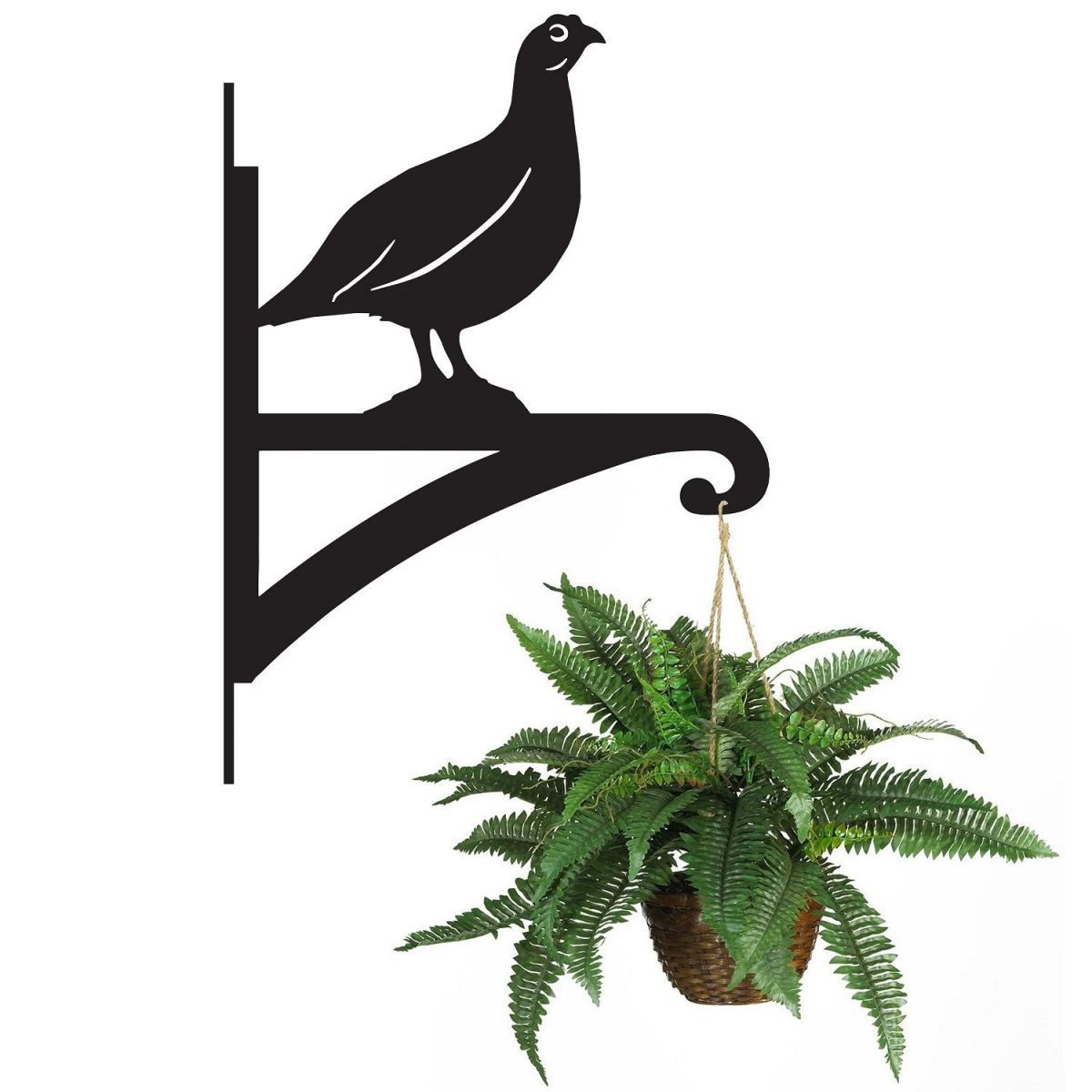 Red Grouse Hanging Basket Bracket Holding a Plant