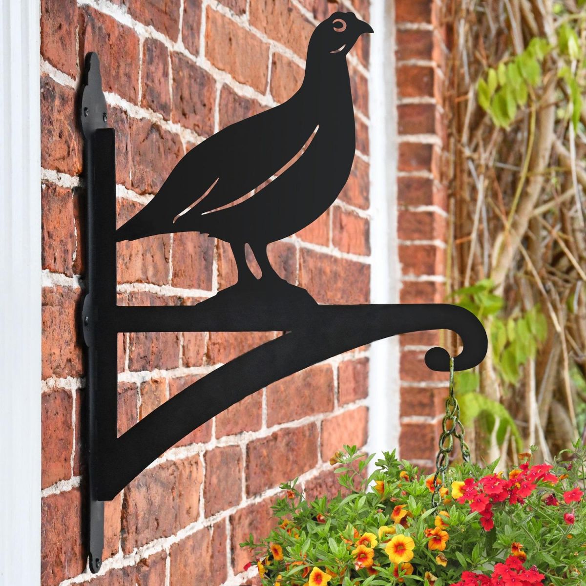 Red Grouse Hanging Basket Bracket on Wall