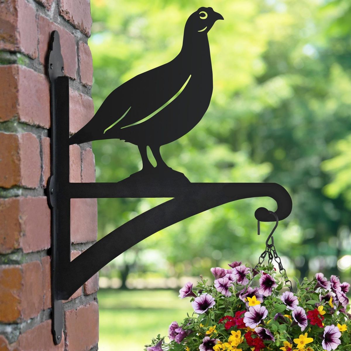 Red Grouse Hanging Basket Bracket 