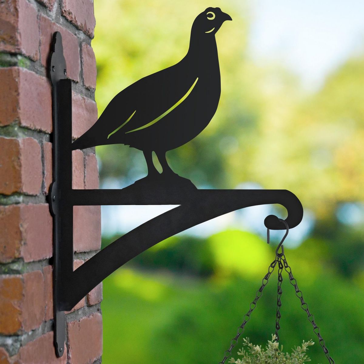 Red Grouse Hanging Basket Bracket