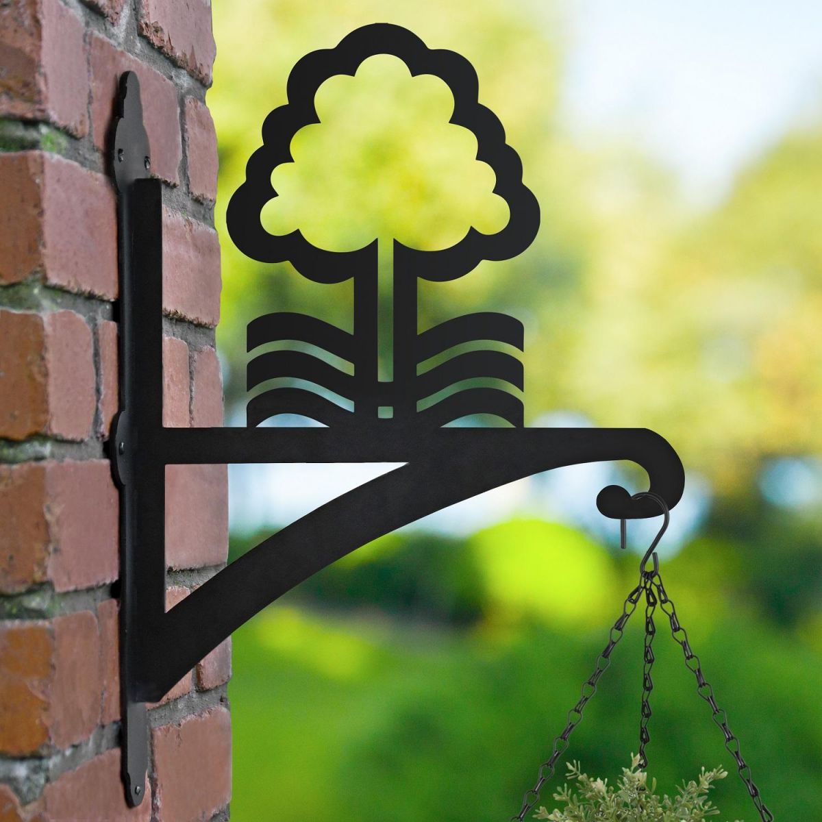 Nottingham Tree Bracket Hanging Basket Bracket in Garden Nottingham Tree Bracket Hanging Basket Bracket in Garden