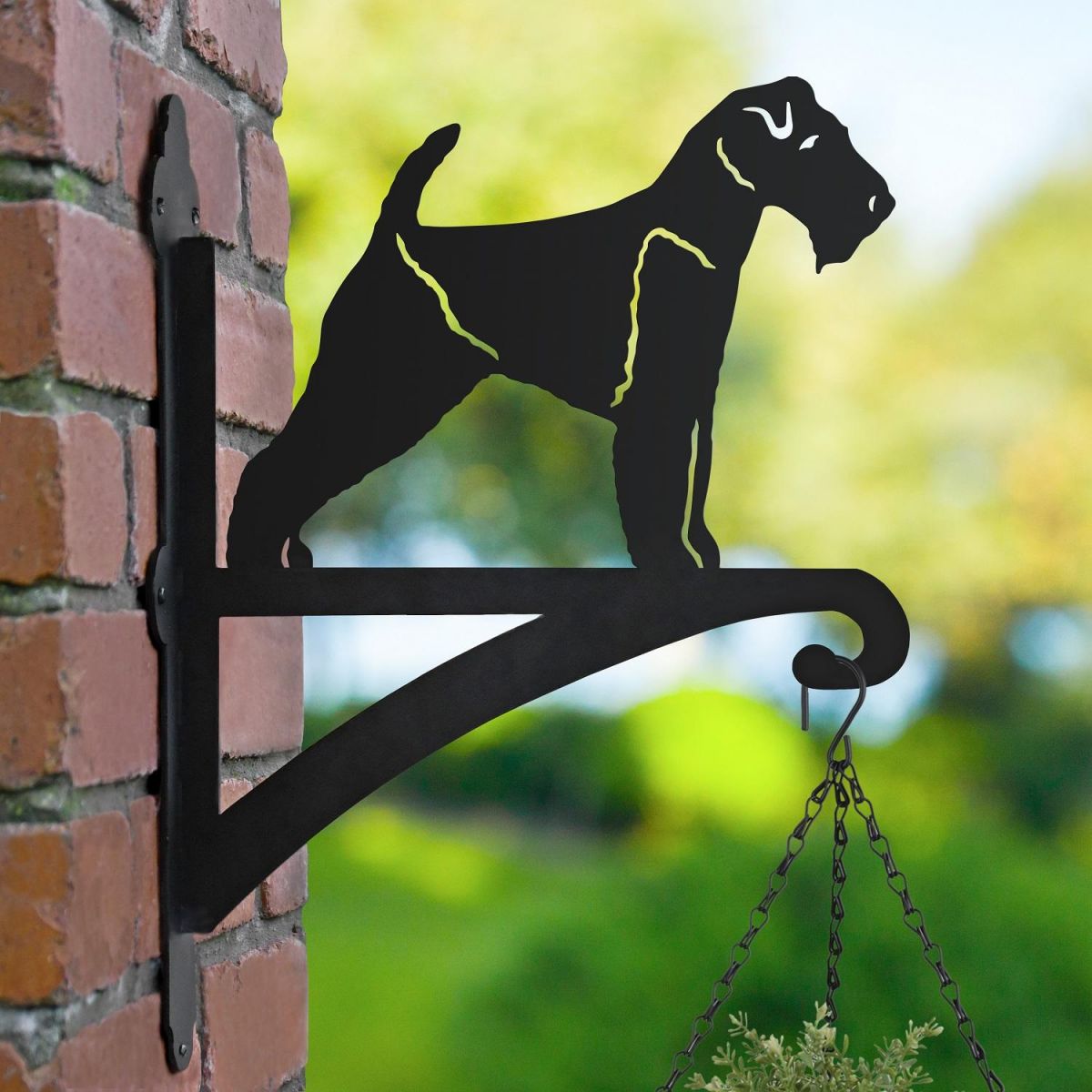 Welsh Terrier Hanging Basket Bracket in Garden