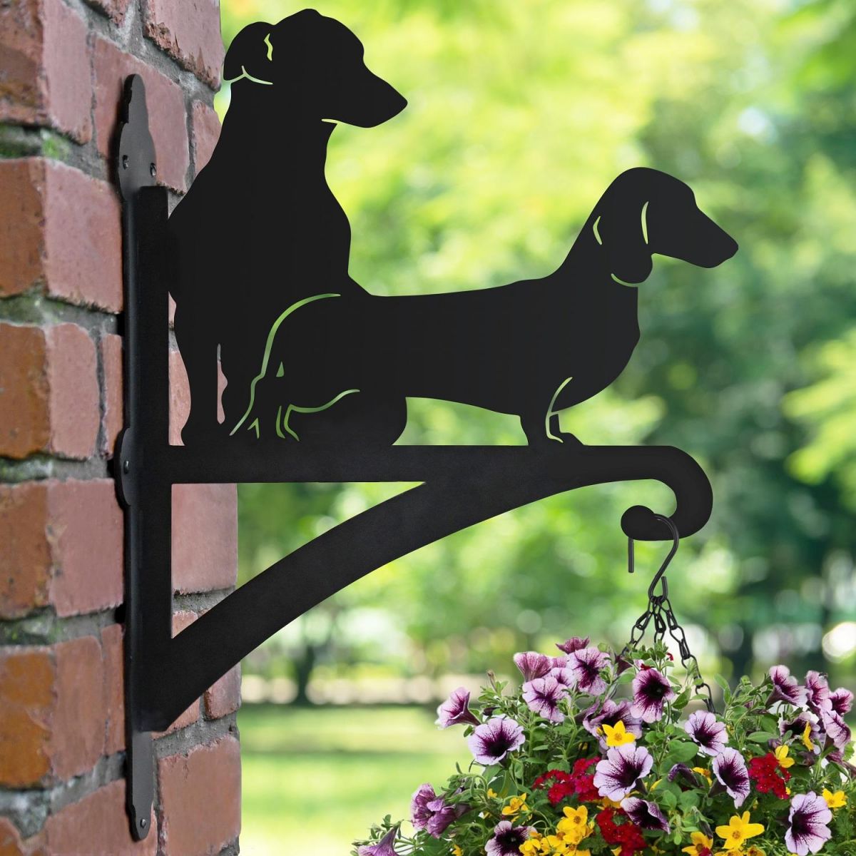 "Dachshund & Jack Russel" Iron Hanging Basket Bracket in Situ  "Dachshund & Jack Russel" Iron Hanging Basket Bracket in Situ