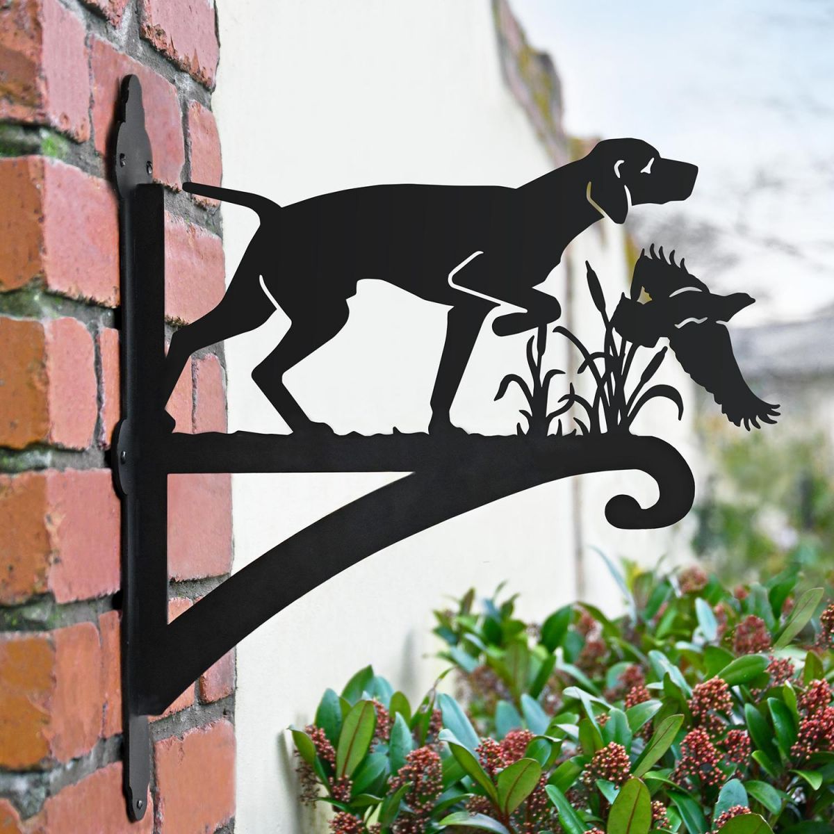 Pointer & Pheasant Iron Hanging Basket Bracket in Situ Pointer & Pheasant Iron Hanging Basket Bracket in Situ