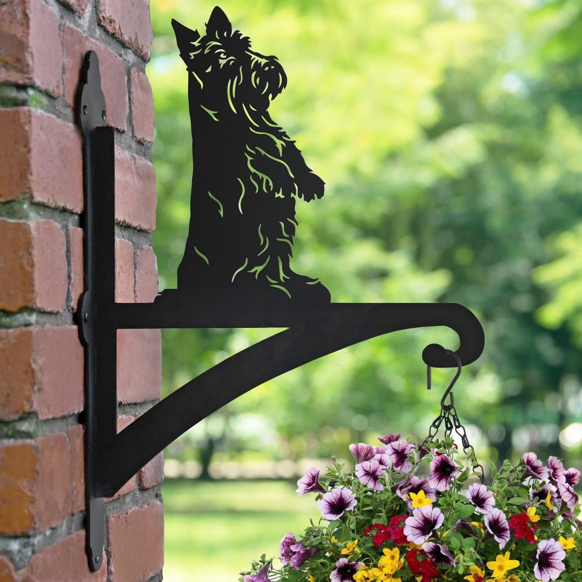 Scottish Terrier Iron Hanging Basket Bracket in Garden