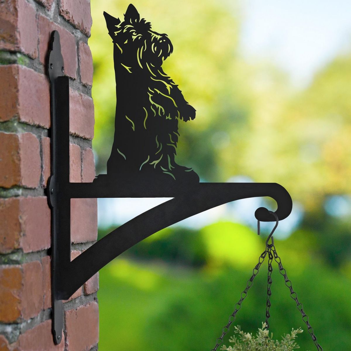 Scottish Terrier Iron Hanging Basket Bracket in Garden Setting 