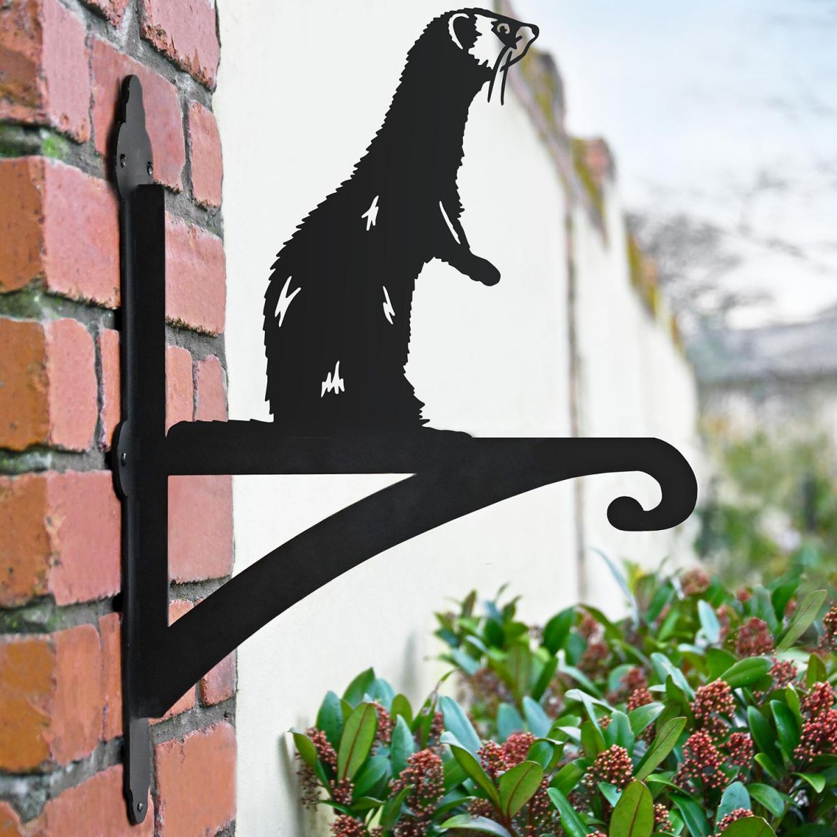 Ferret Standing Iron Hanging Basket Bracket in Situ