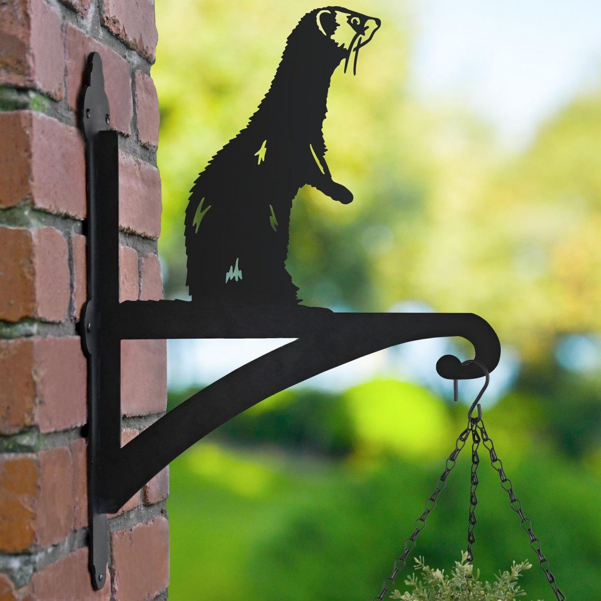 Ferret Standing Iron Hanging Basket Bracket