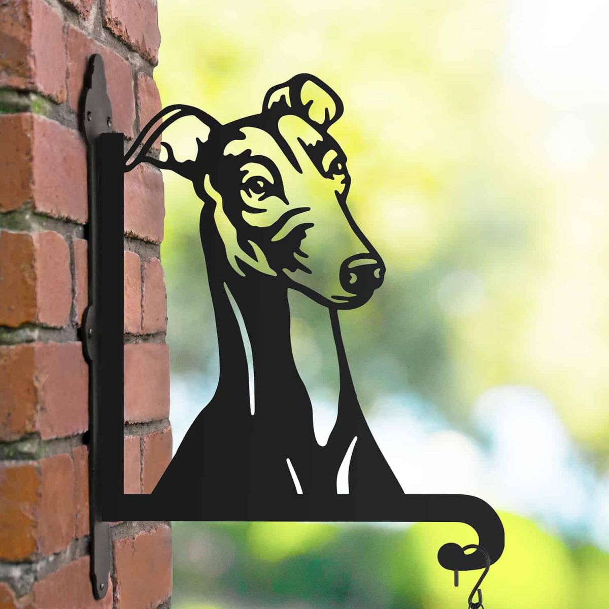 Steel Greyhound Head Hanging Basket Bracket in Situ