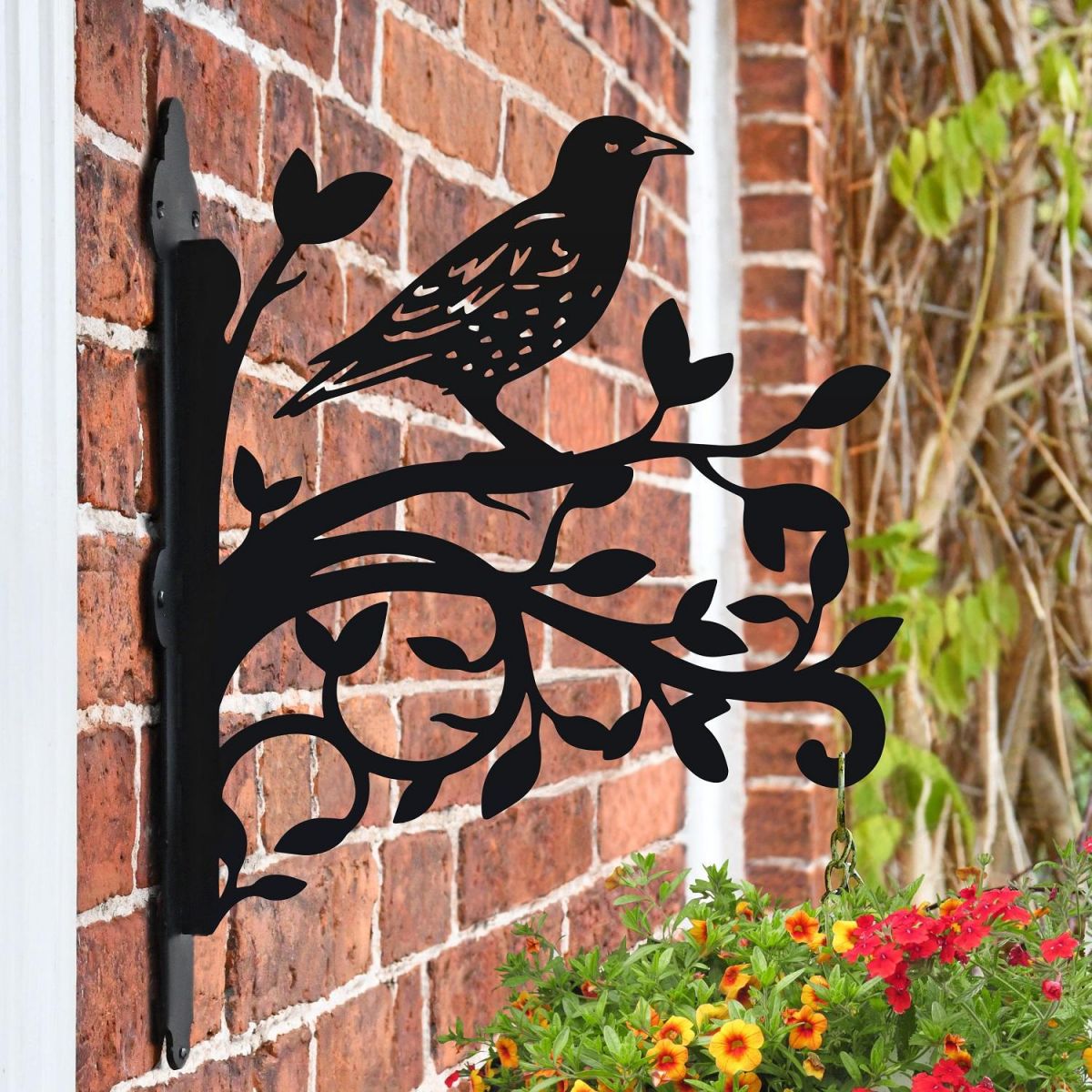 Starling & Branches Iron Hanging Basket Bracket on Wall  Starling & Branches Iron Hanging Basket Bracket on Wall