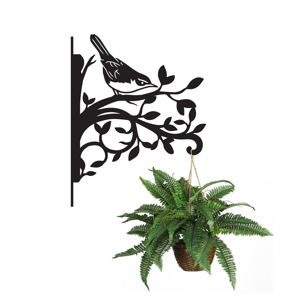 Cettis Warbler Iron Hanging Basket Bracket Holding a Hanging Basket Cettis Warbler Iron Hanging Basket Bracket Holding a Hanging Basket