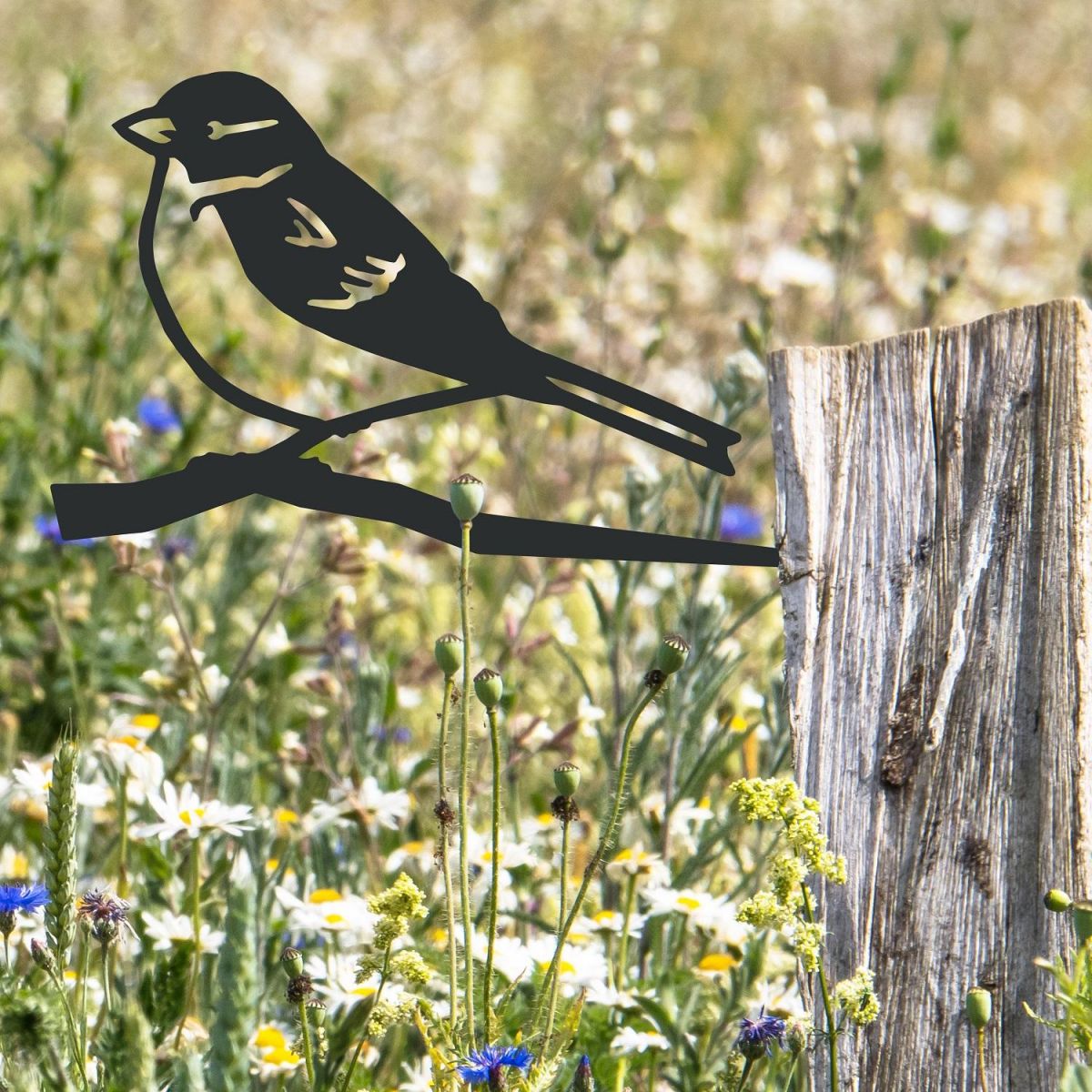 House Sparrow Tree Spike 