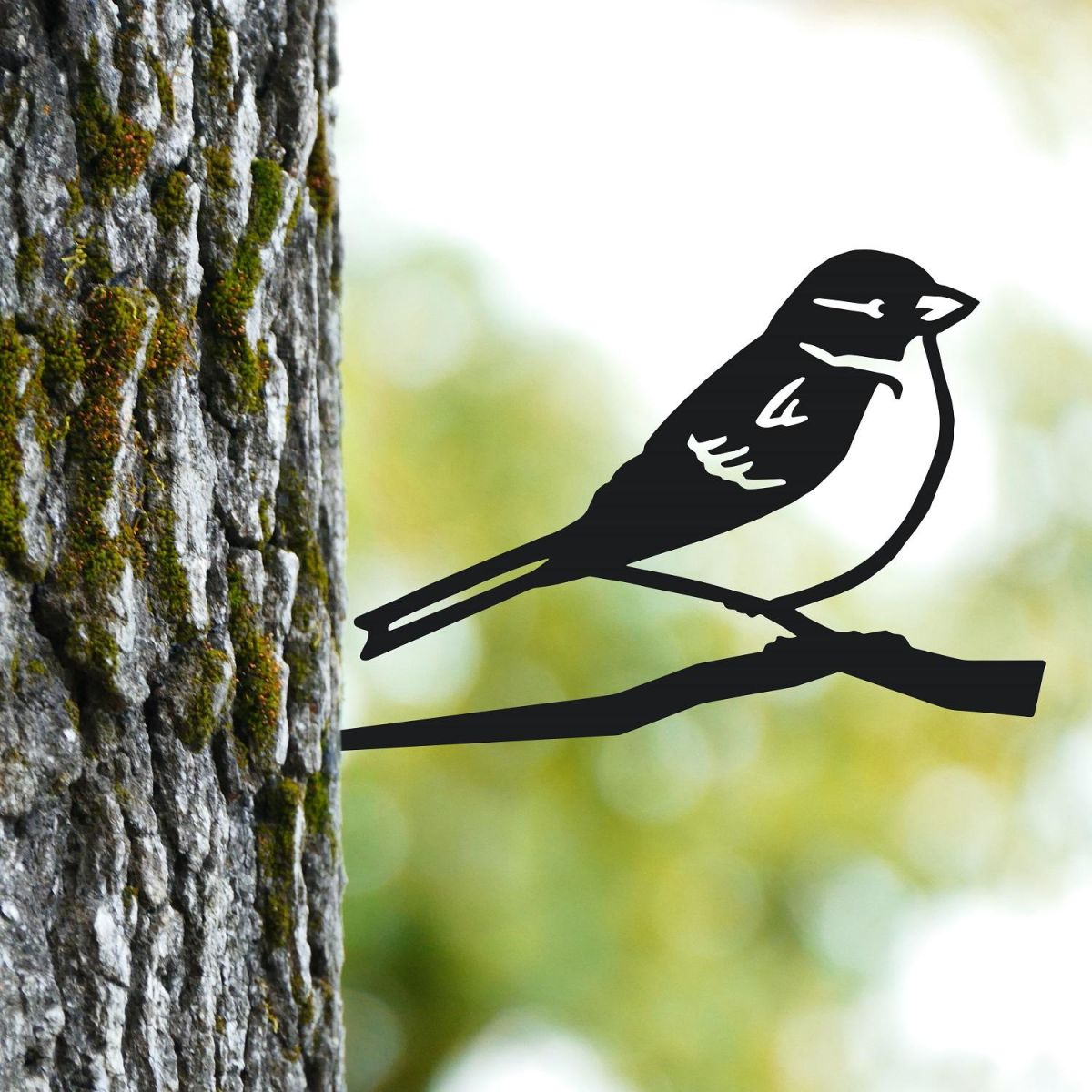 House Sparrow Tree Spike in Full 