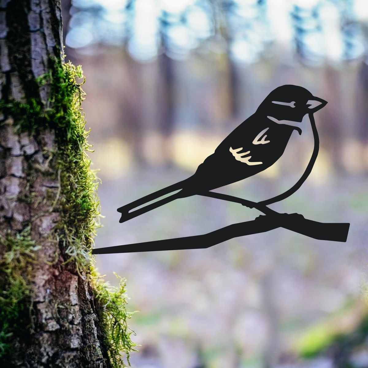 House Sparrow Tree Spike in Situ