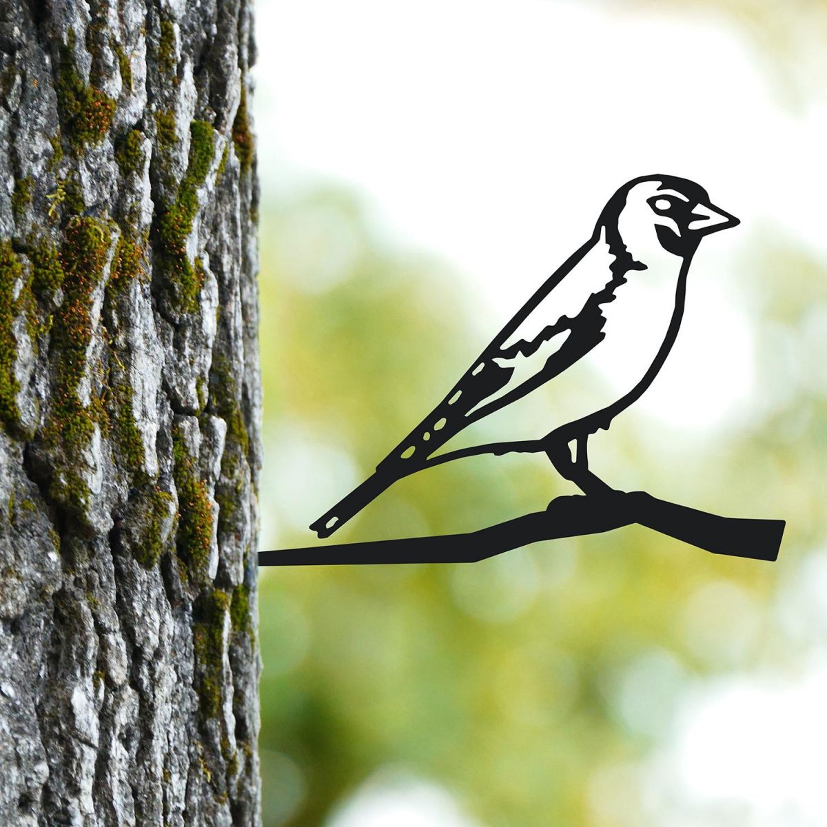 Goldfinch Tree Spike in Situ