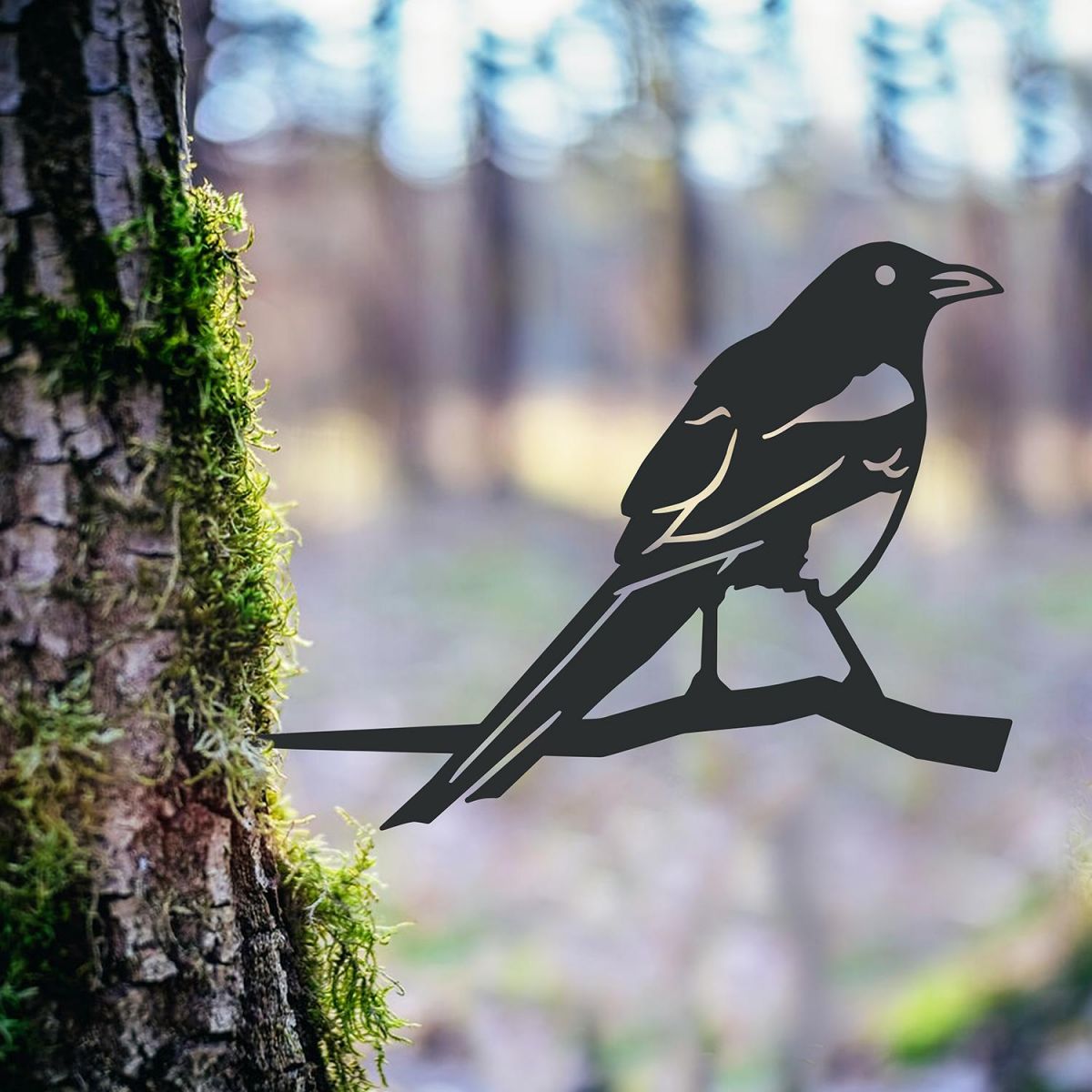 Magpie Tree Spike in the Woodlands