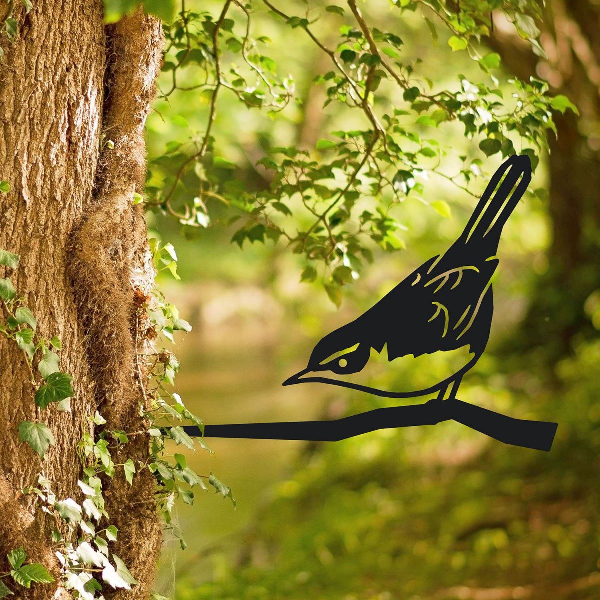 Cettis Warblere Tree Spike in Situ Cettis Warblere Tree Spike in Situ