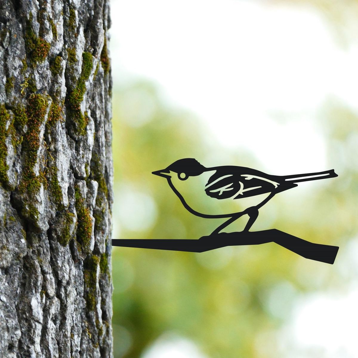 Blackcap Tree Spike in Situ