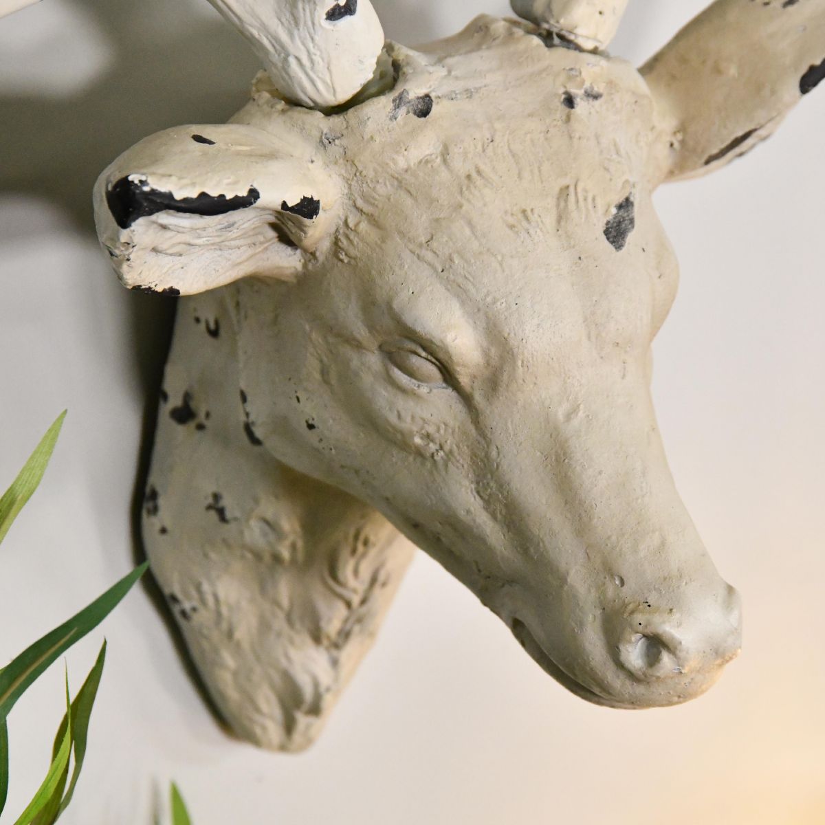 Top view of Stag Head  Top view of Stag Head