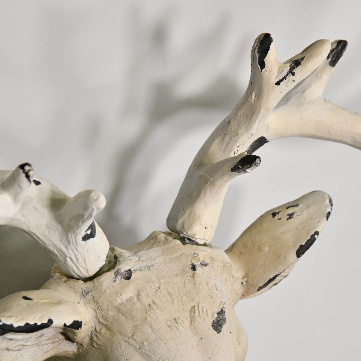 Close up of shabby chic stag head  Close up of shabby chic stag head