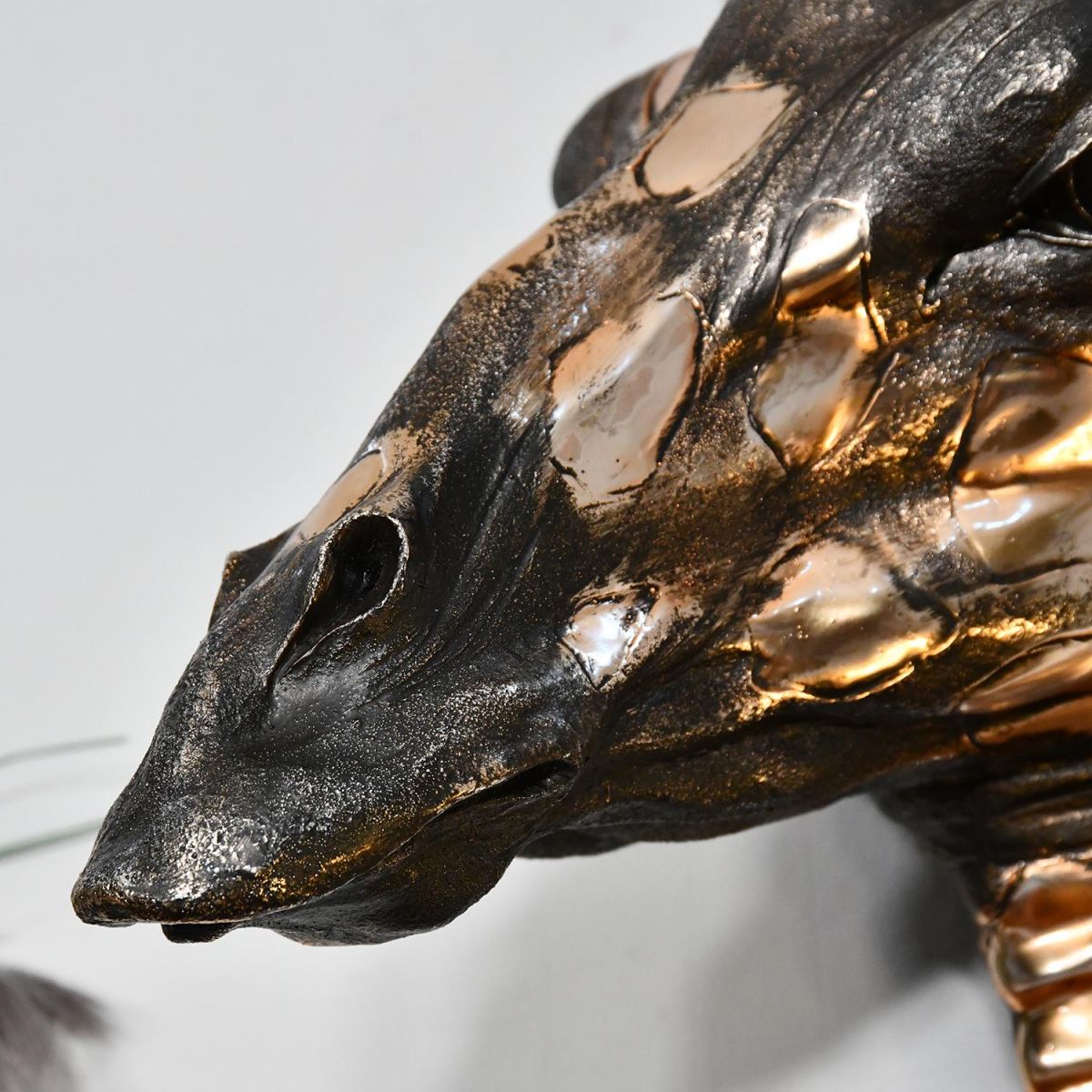 Close up of giraffe mouth and head  Close up of giraffe mouth and head