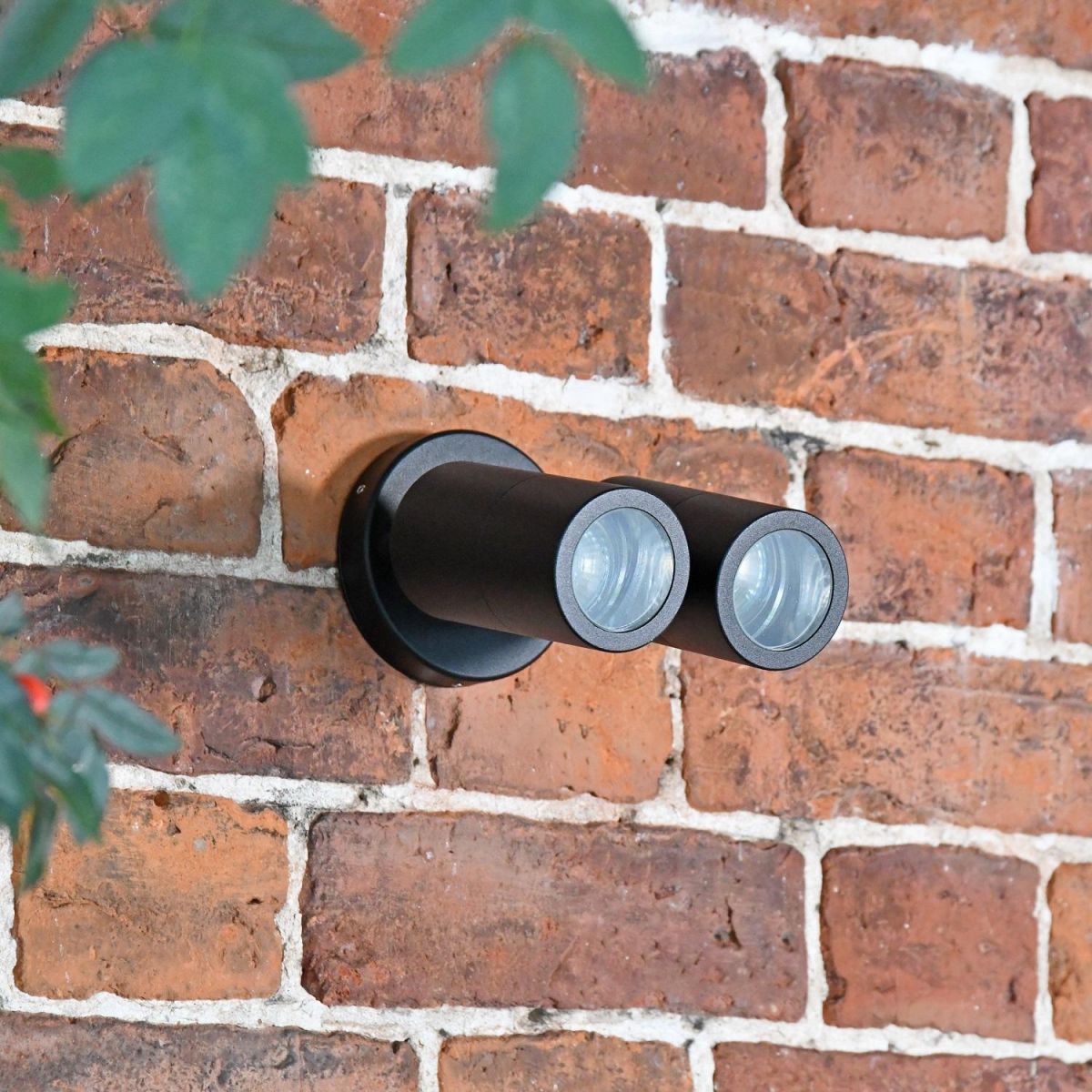 Black Dual Cylinder Downlight  Black Dual Cylinder Downlight