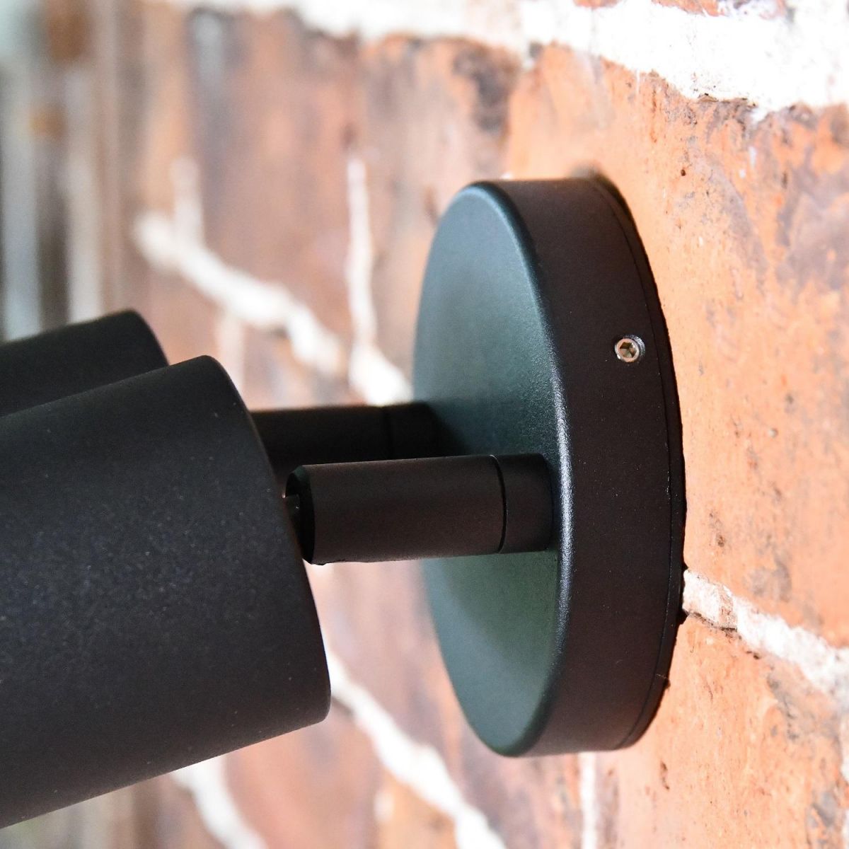 Close up of circular mounting plate  Close up of circular mounting plate