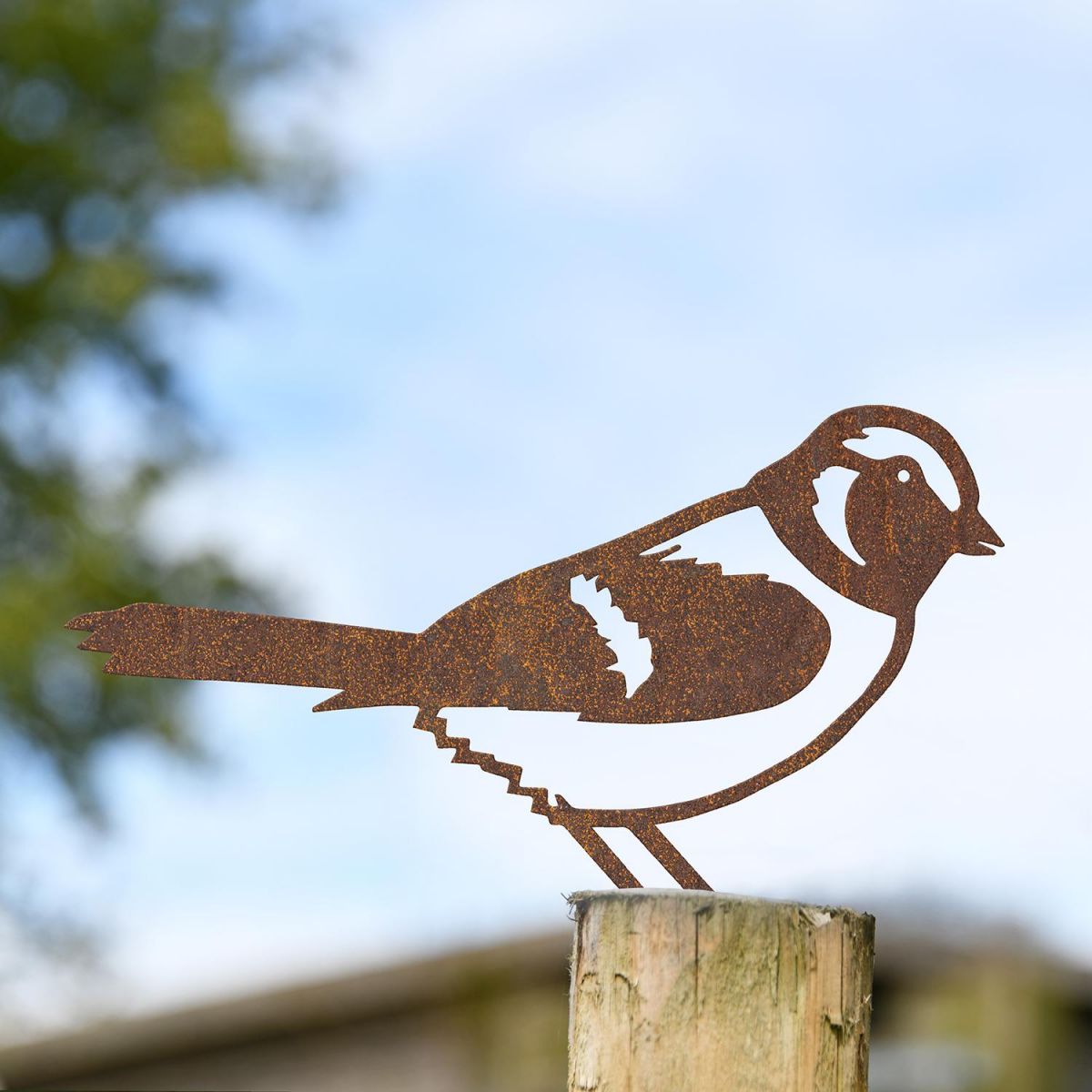 Sparrow Fence Topper in Situ