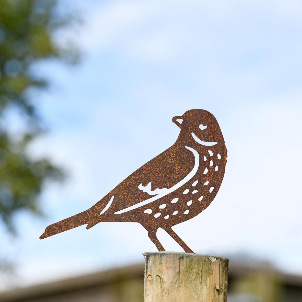 Thrush Fence Topper in Situ Outside
