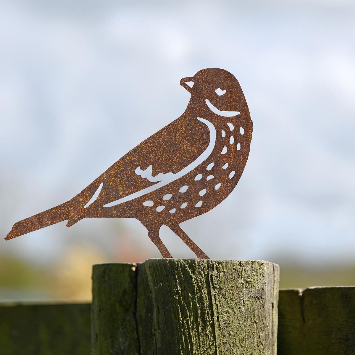 Thrush Fence Topper in Situ