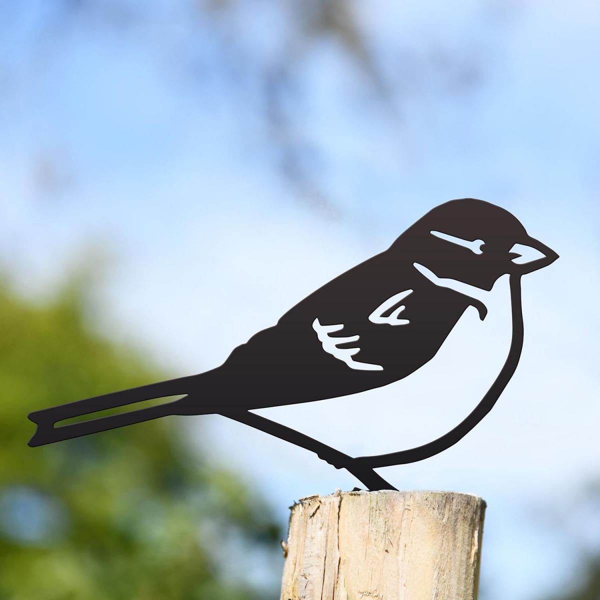 House Sparrow Fence Topper in Situ Outside