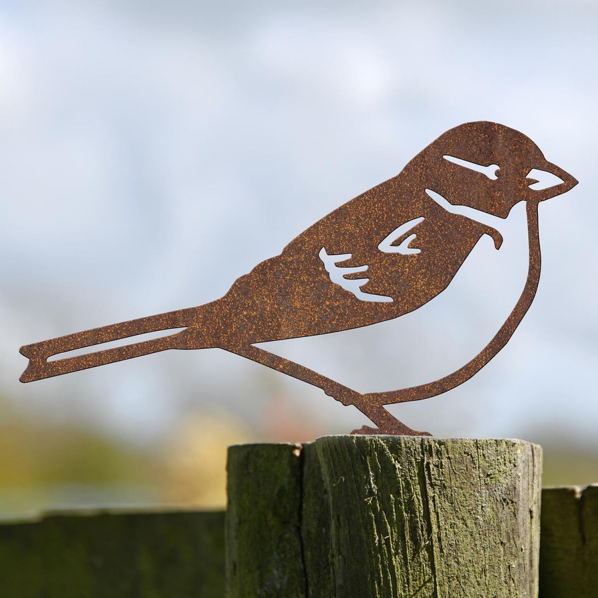 House Sparrow Fence Topper in Situ Outside