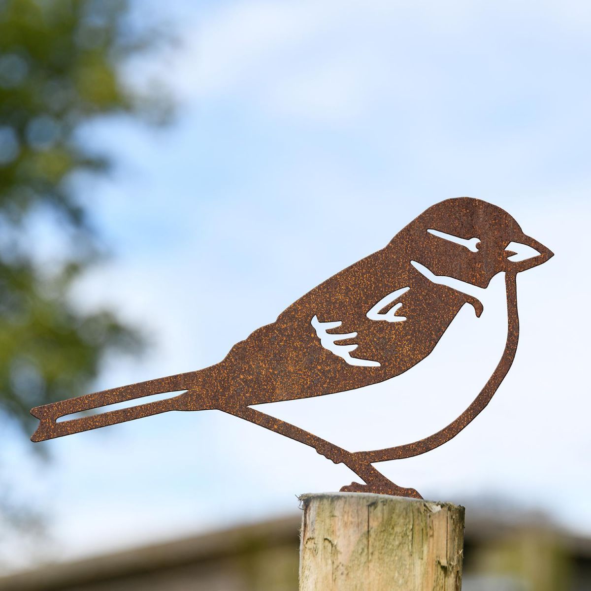House Sparrow Fence Topper in Use on the Top of a Fence