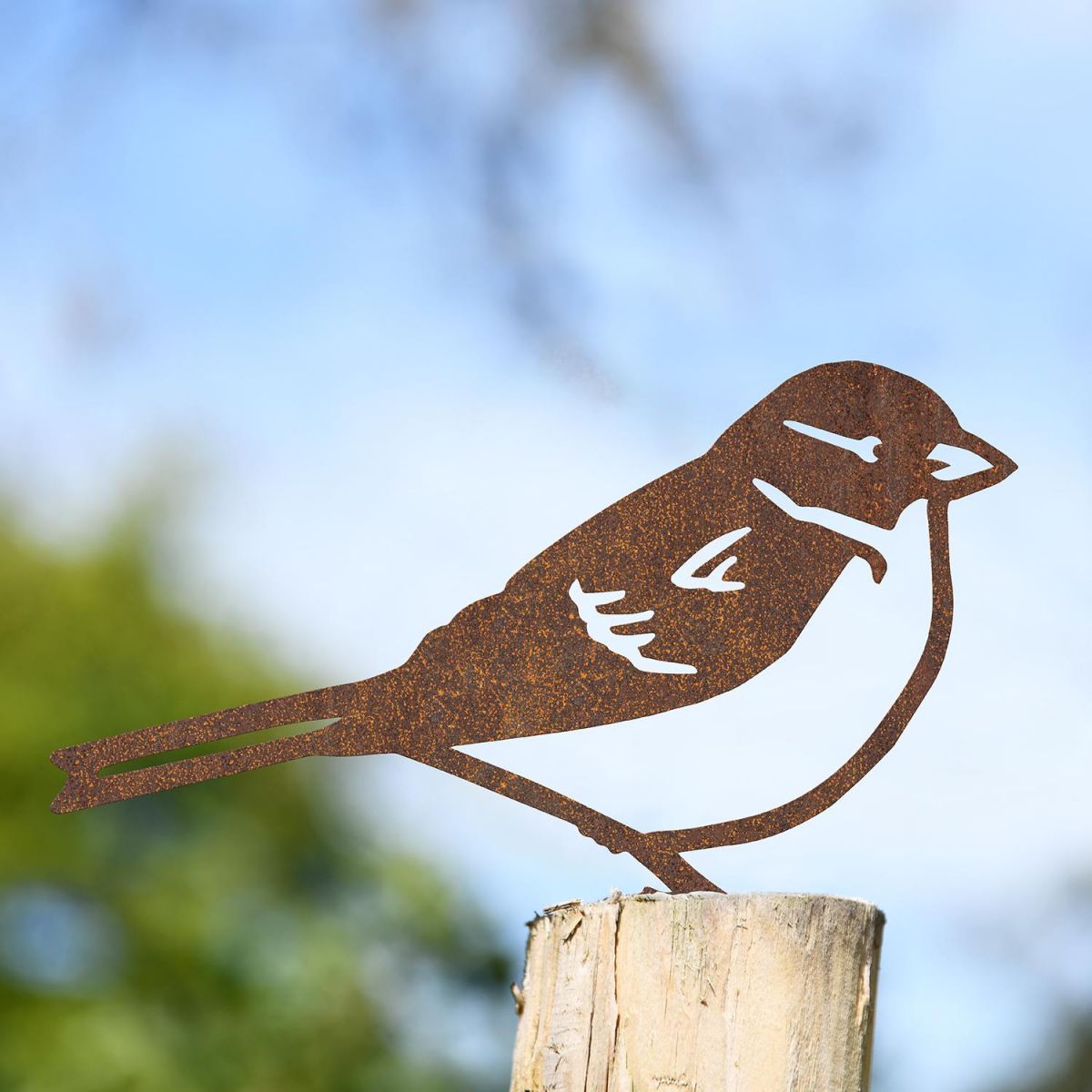 House Sparrow Fence Topper in Situ