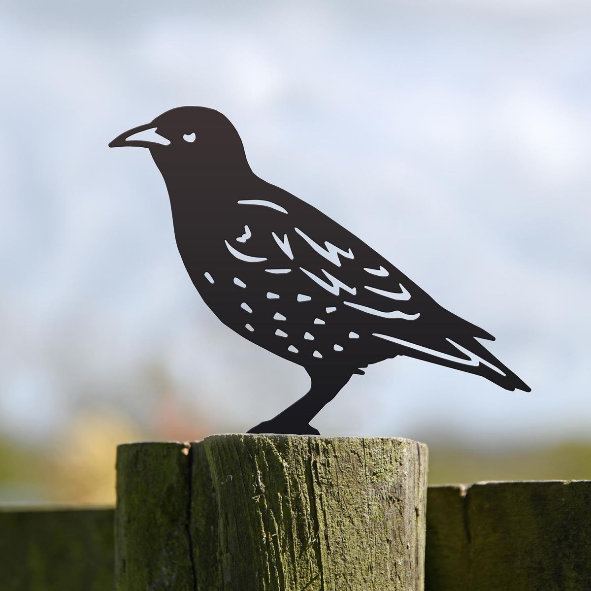 Starling Fence Topper in Situ Outside