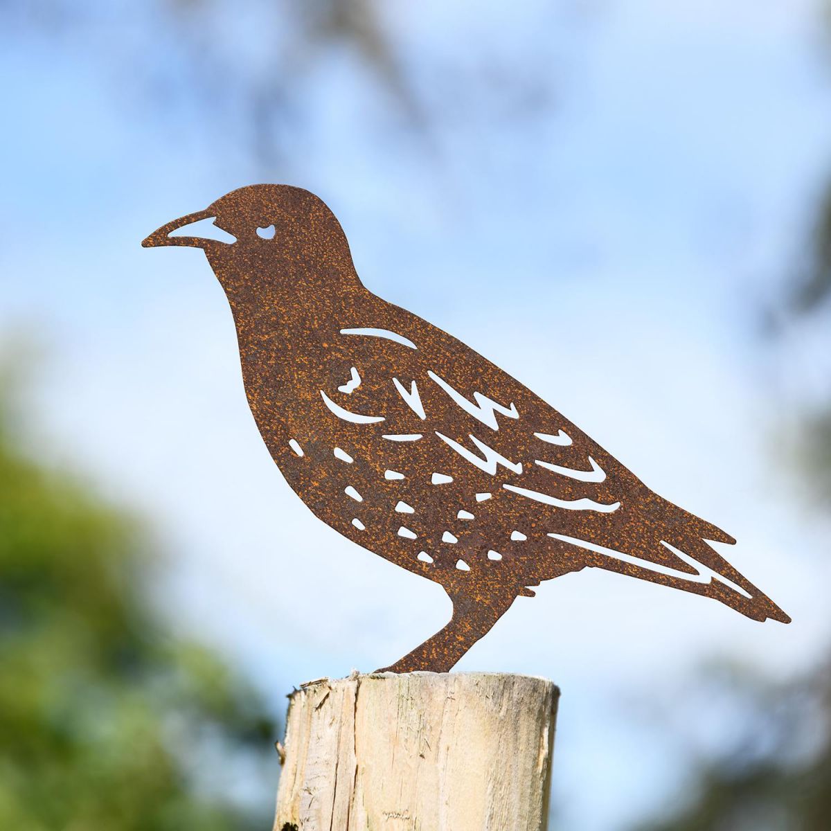Starling Fence Topper in Situ Outside