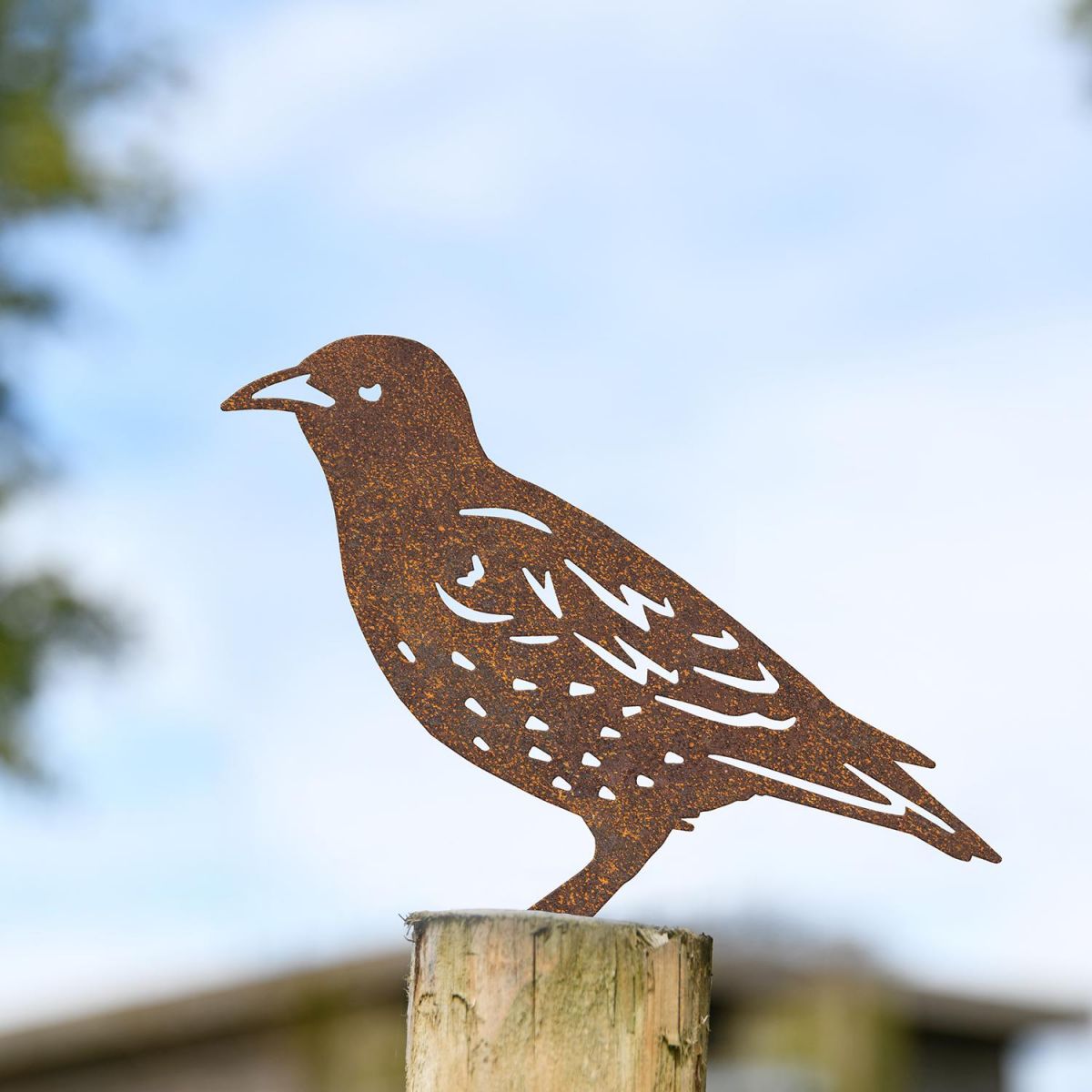 Starling Fence Topper in Use on the Top of a Fence