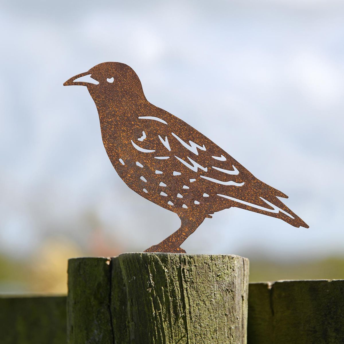 Starling Fence Topper in Use Outdoors in the Garden