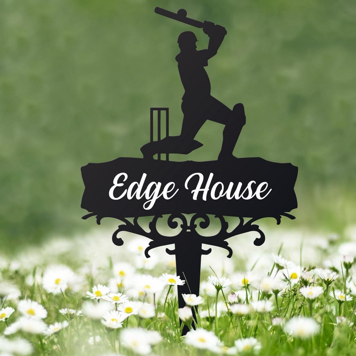 Cricket Memorial Ground Spike in Situ 