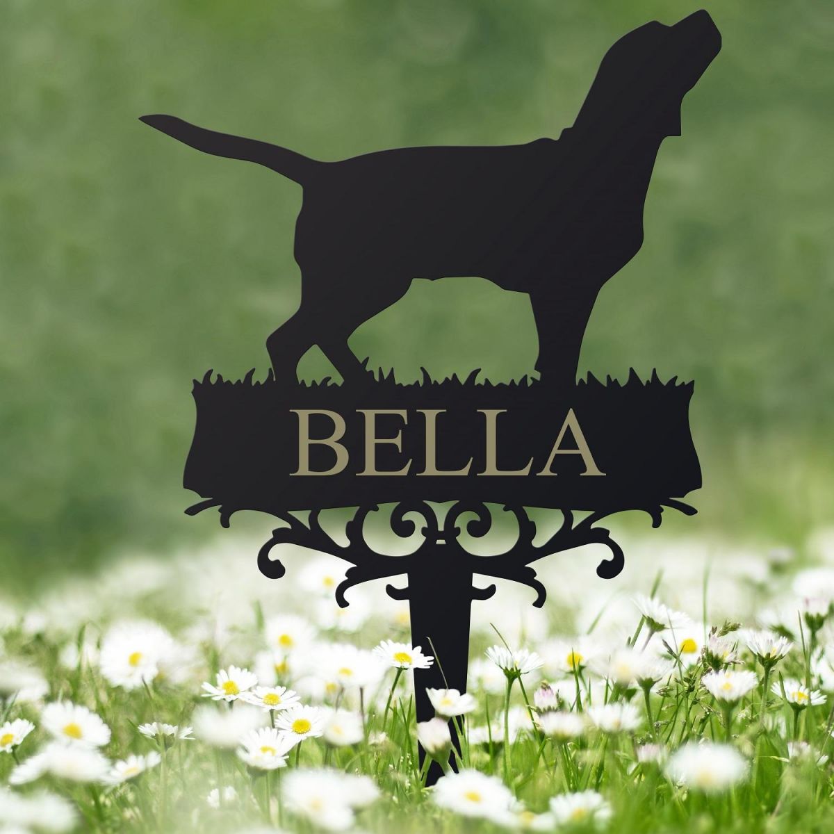 Beagle Memorial Ground Spike 