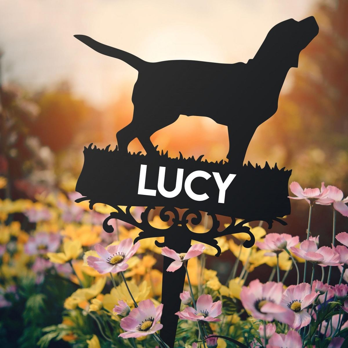 Beagle Memorial Ground Spike in Situ