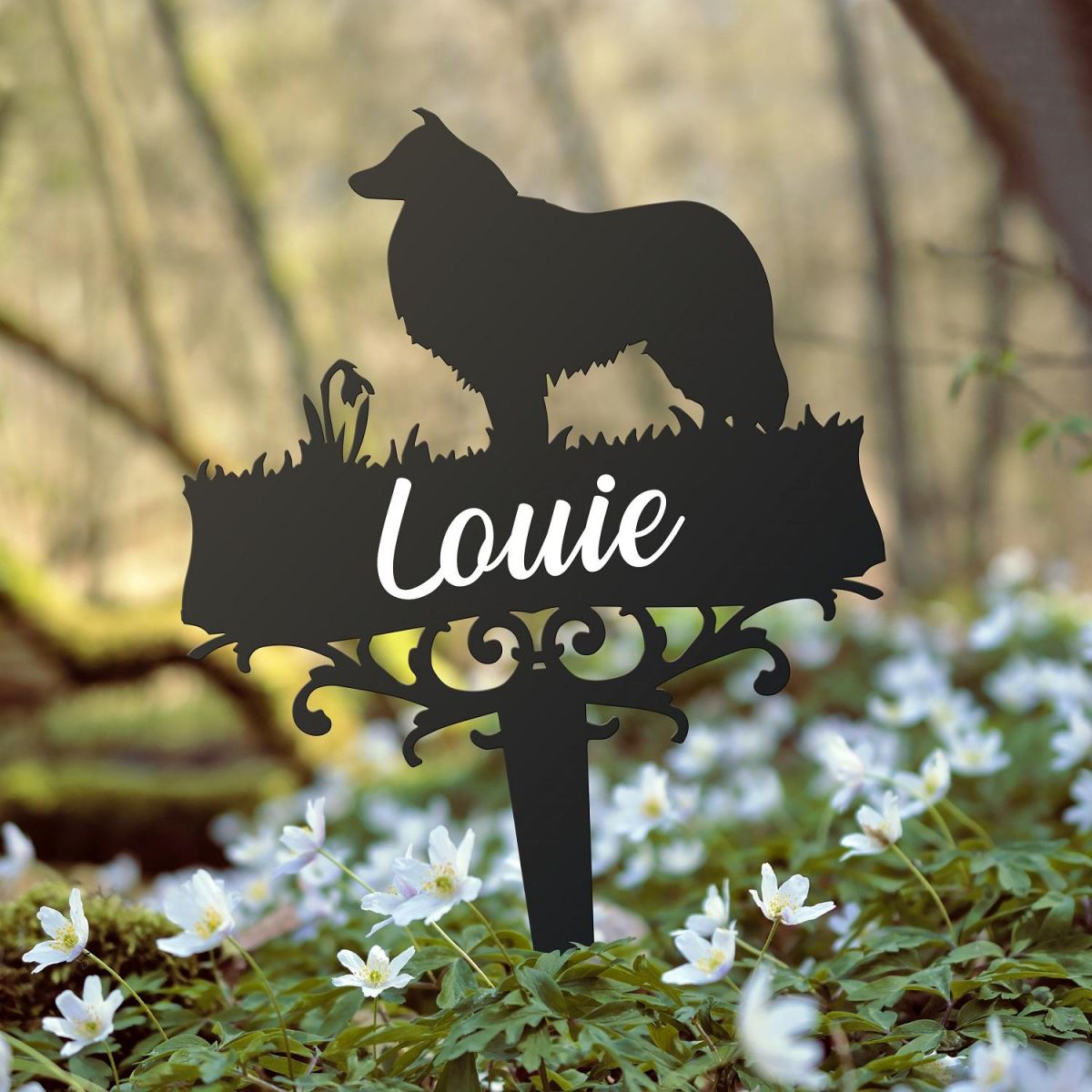 Rough Collie Ground Spike