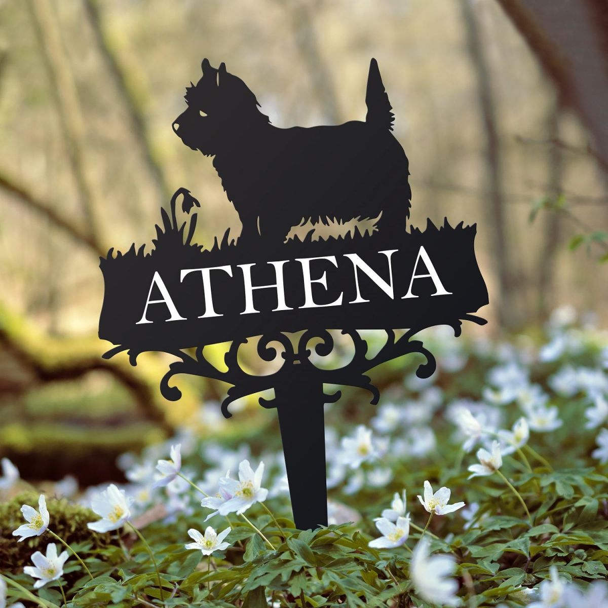 West Highland White Terrier Spike West Highland White Terrier Spike