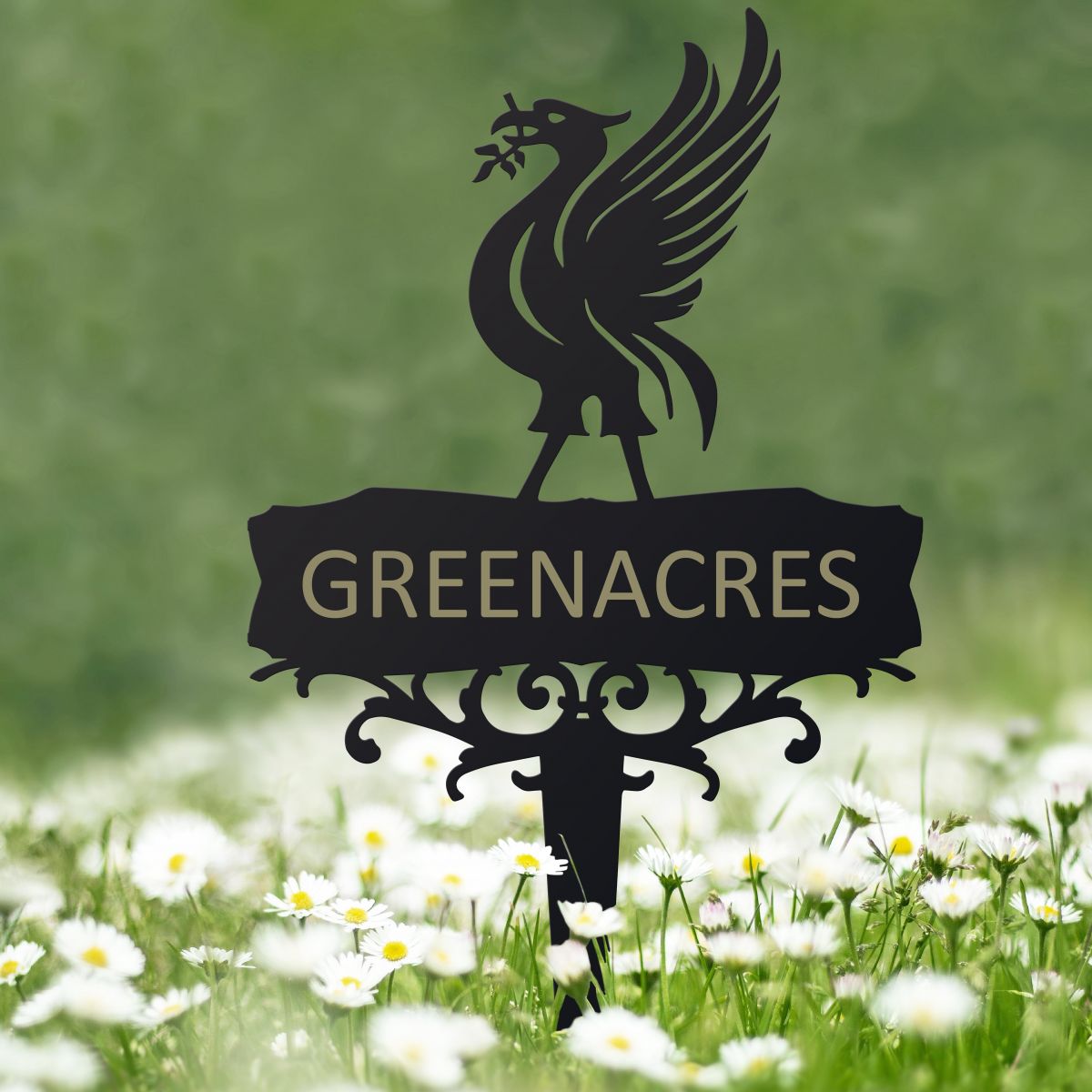 Liver Bird Ground Spike in Situ 