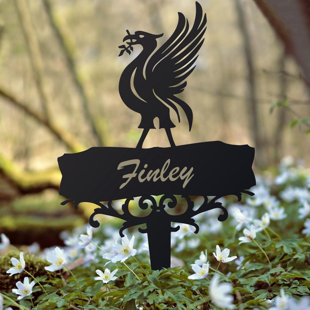 Liver Bird Ground Spike in Situ 