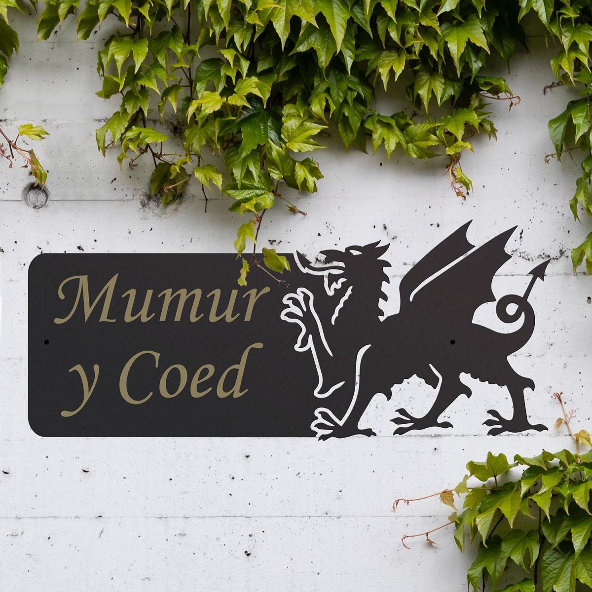 Welsh Dragon Iron House Name Sign in Situ Outside