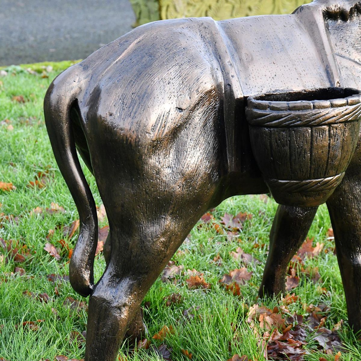 Close up of Donkey rear and basket  Close up of Donkey rear and basket