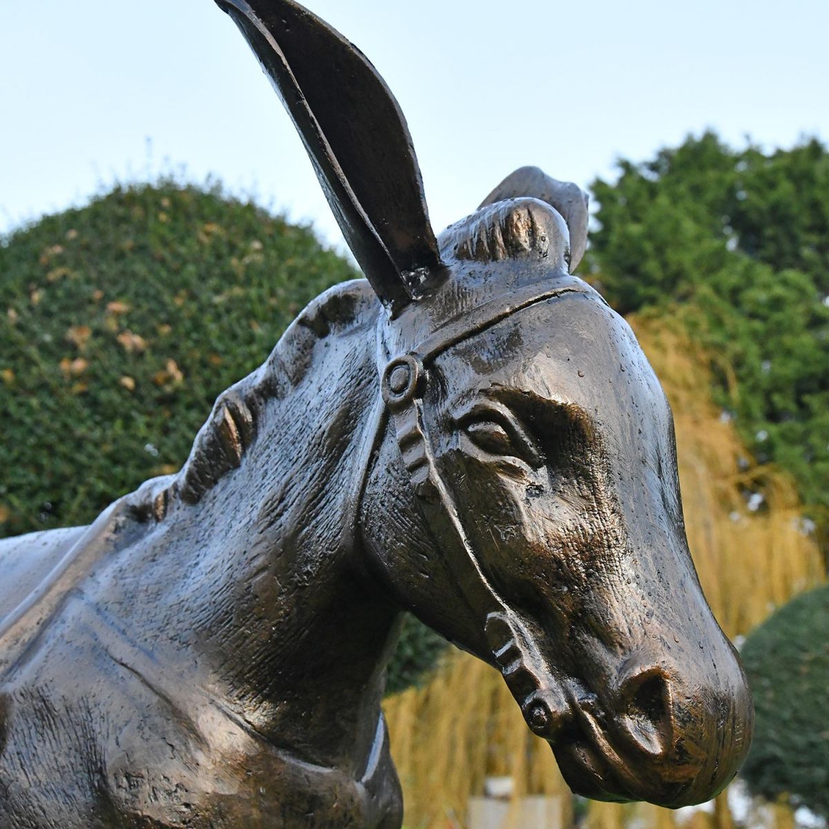 Close up of Donkey"s face with reins  Close up of Donkey"s face with reins
