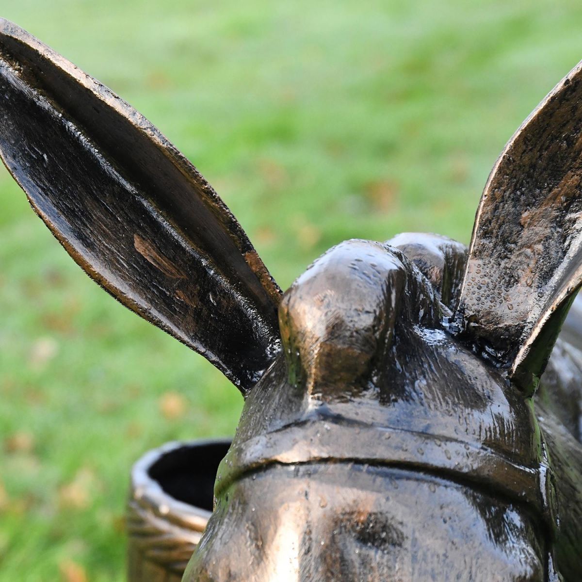 Close up of Donkey"s ears and mane  Close up of Donkey"s ears and mane